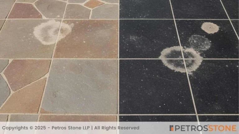 Maintenance-Neutral_Multicolor-vs.-White_Deep-Black