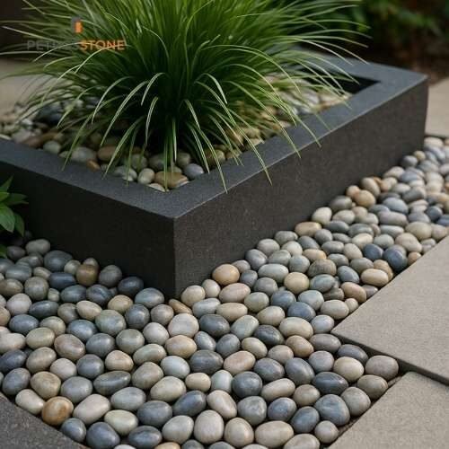 Quartzite Polished Pebbles